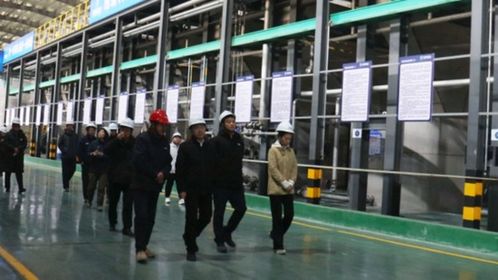 京洛攜手探新路 協作共贏促發展——技術交流開啟新疆洛浦發展新篇章