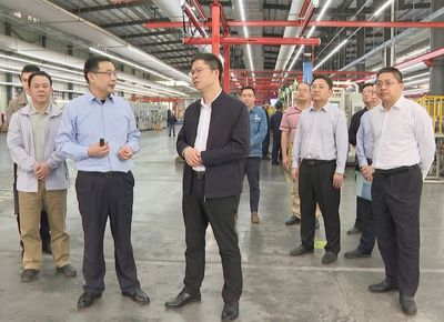 王鋒率隊開展暖企行動 以技術交流促當家產業升級，夯實實體經濟高質量發展根基